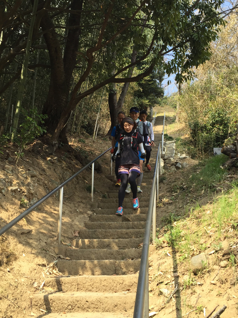 ウルトラプロジェクト