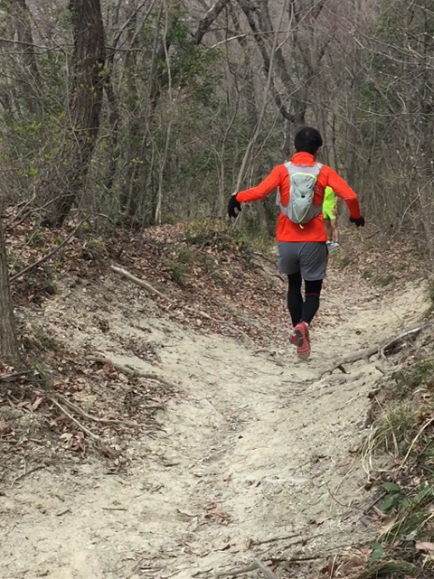 ウルトラプロジェクト