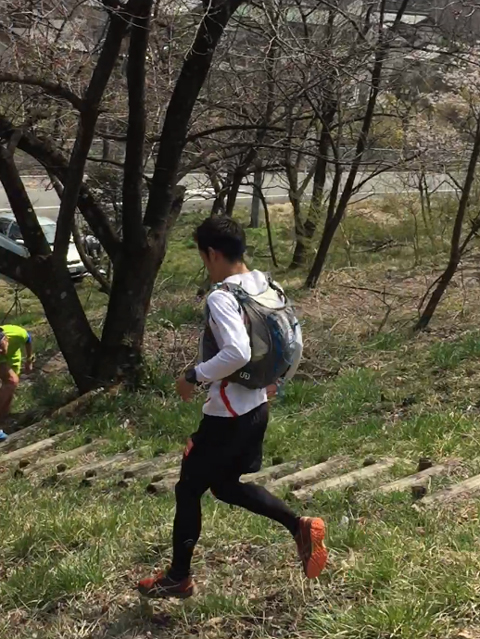 ウルトラプロジェクト