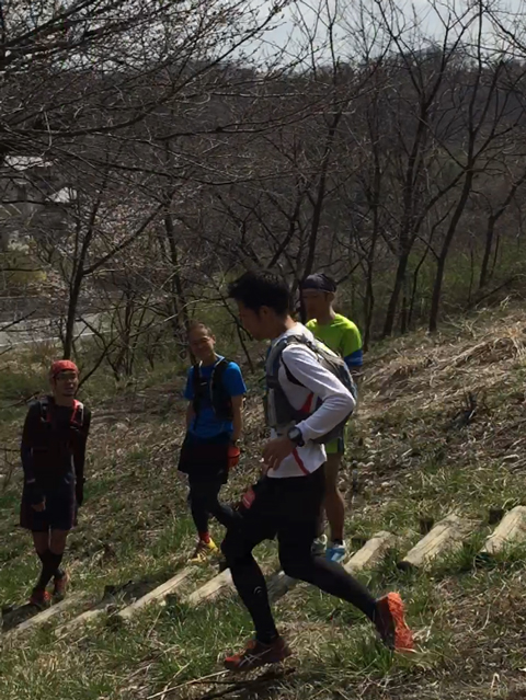 ウルトラプロジェクト