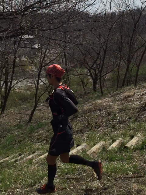 ウルトラプロジェクト