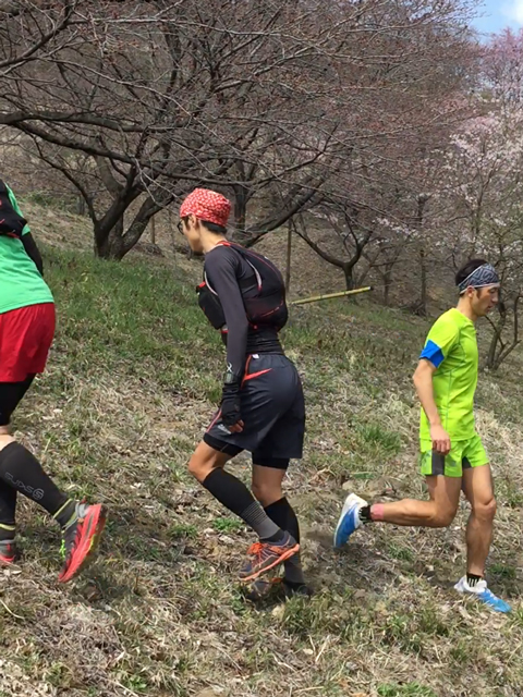 ウルトラプロジェクト