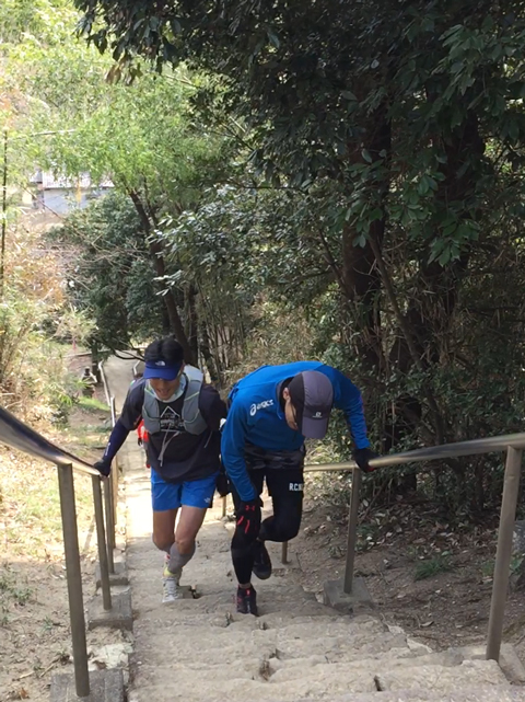 ウルトラプロジェクト