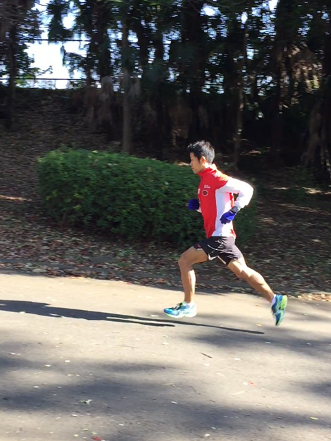 ウルトラプロジェクト