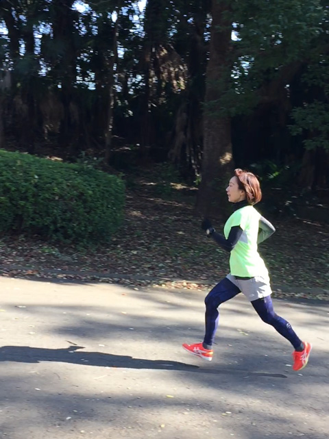 ウルトラプロジェクト