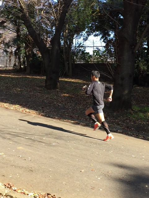 ウルトラプロジェクト