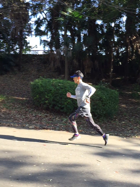 ウルトラプロジェクト