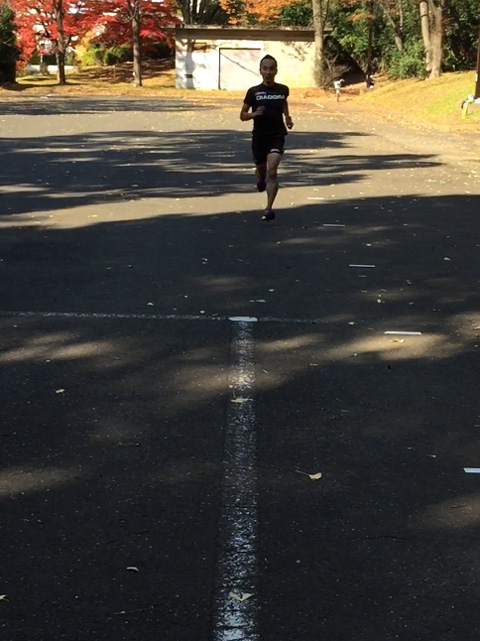 ウルトラプロジェクト