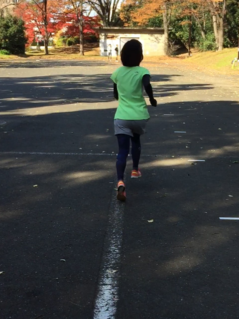 ウルトラプロジェクト