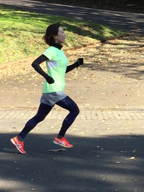 ウルトラプロジェクト