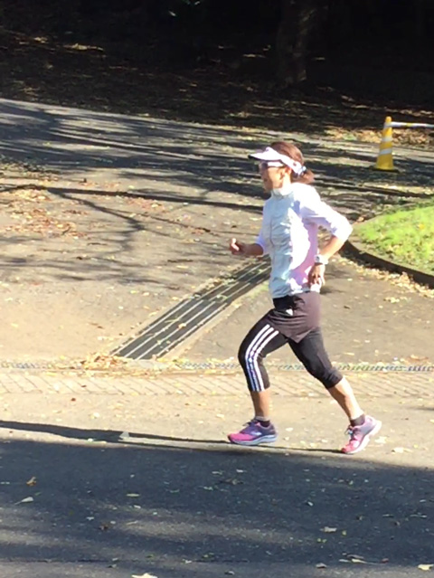 ウルトラプロジェクト