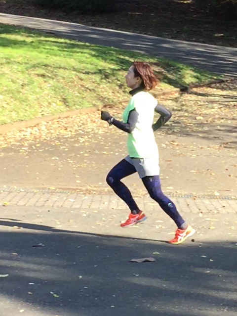 ウルトラプロジェクト