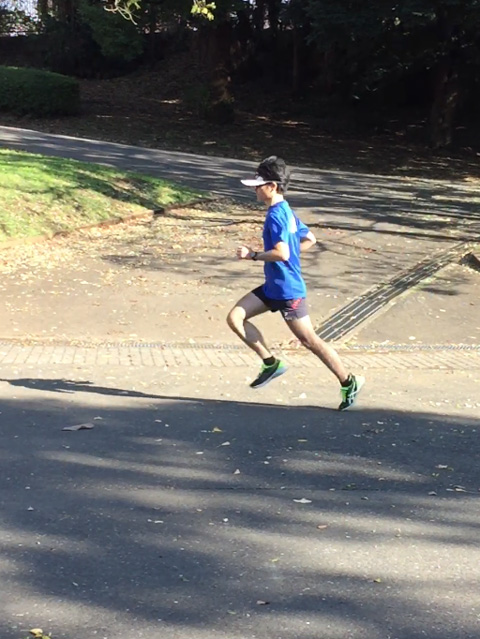 ウルトラプロジェクト