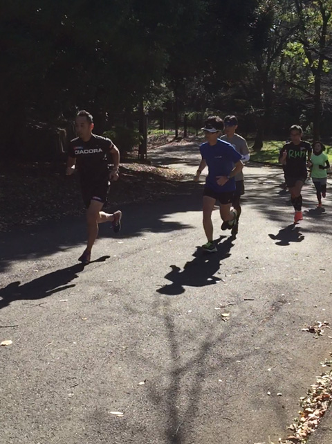 ウルトラセミナー