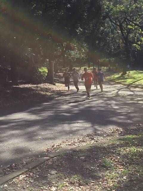 ウルトラプロジェクト