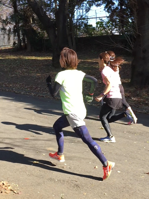 ウルトラプロジェクト