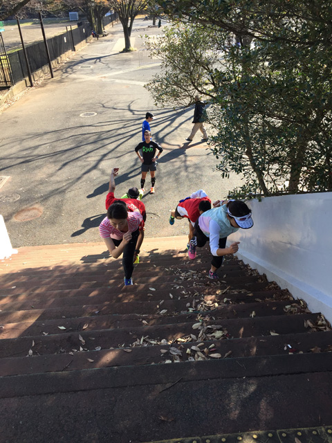 ウルトラプロジェクト