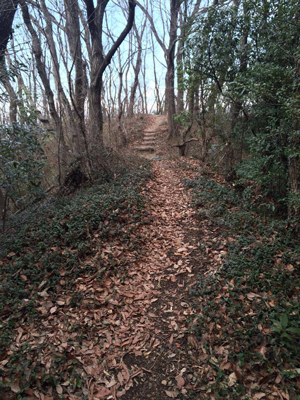 ウルトラプロジェクト