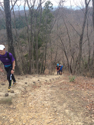 ウルトラプロジェクト