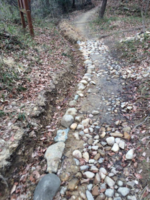 ウルトラプロジェクト