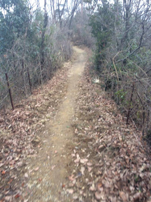 ウルトラプロジェクト