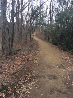 ウルトラプロジェクト