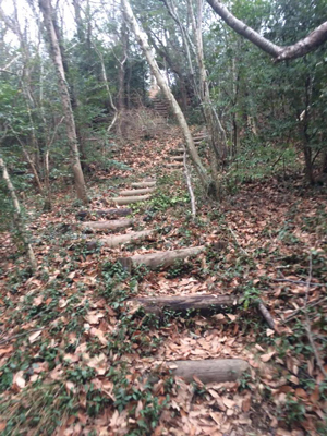 ウルトラプロジェクト