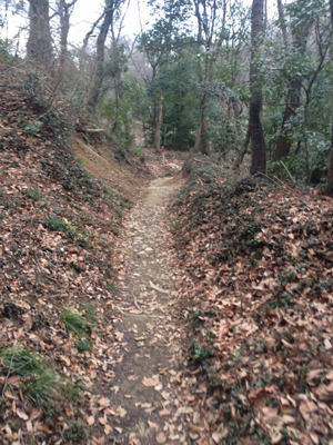 ウルトラプロジェクト