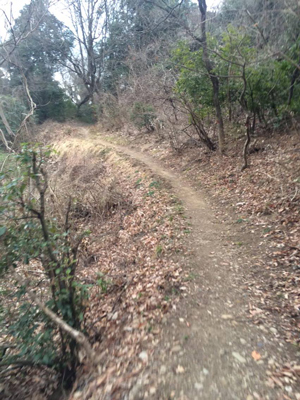 ウルトラプロジェクト