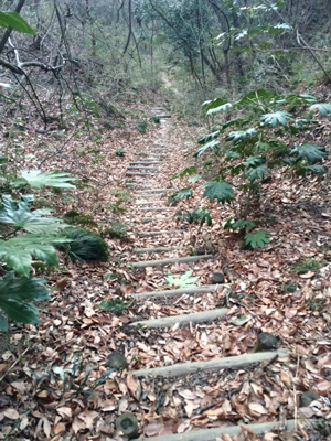 ウルトラプロジェクト