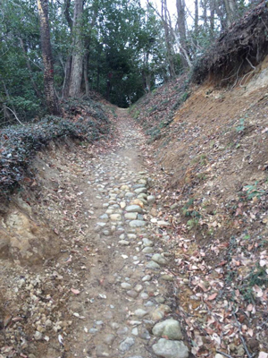 ウルトラプロジェクト