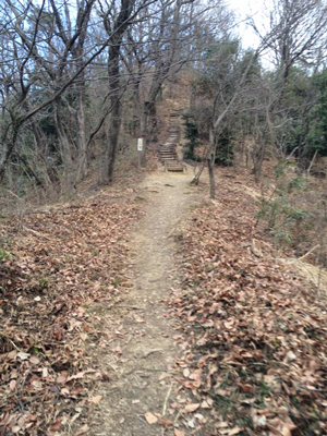 ウルトラプロジェクト