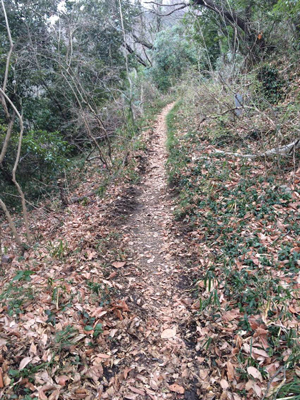 ウルトラプロジェクト