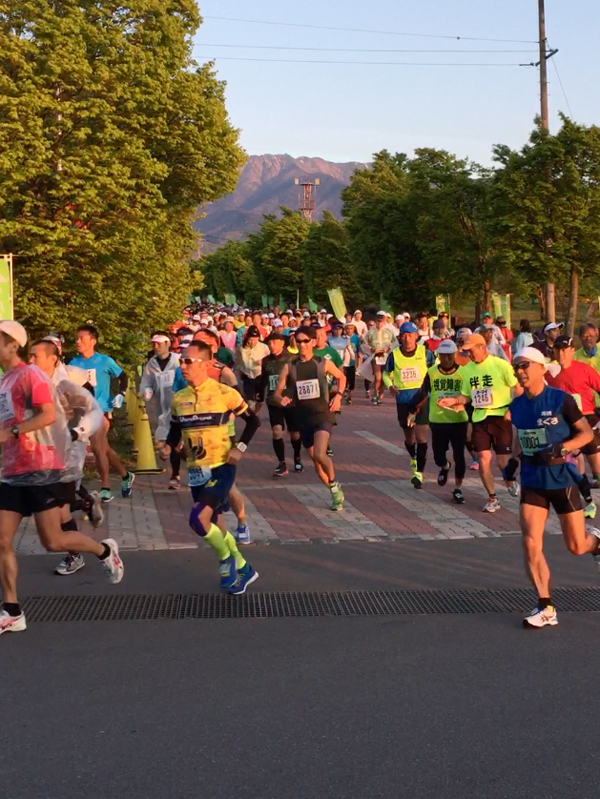 ウルトラプロジェクト