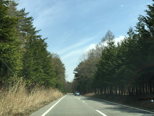 チャレンジ富士五湖