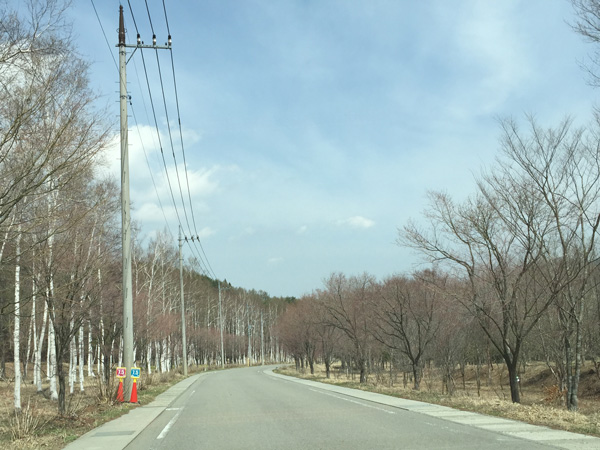 チャレンジ富士五湖