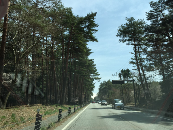 チャレンジ富士五湖