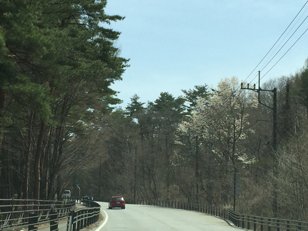 チャレンジ富士五湖