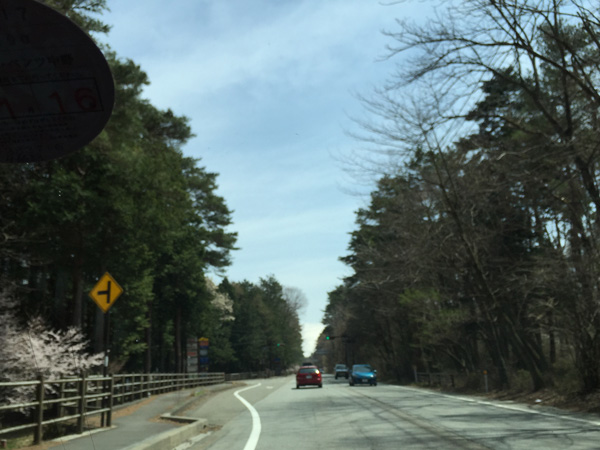 チャレンジ富士五湖