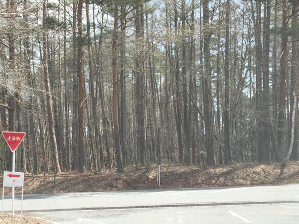 チャレンジ富士五湖