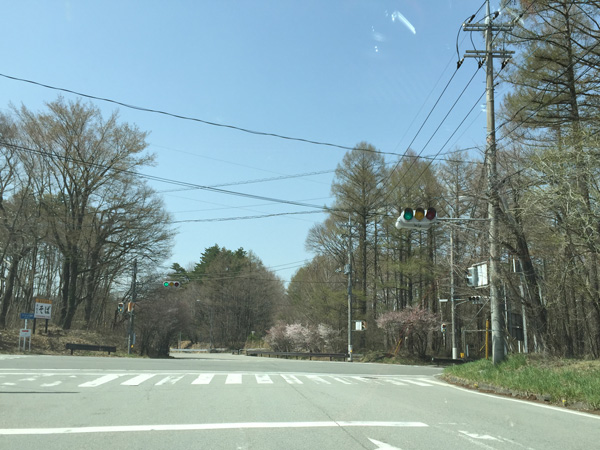 チャレンジ富士五湖