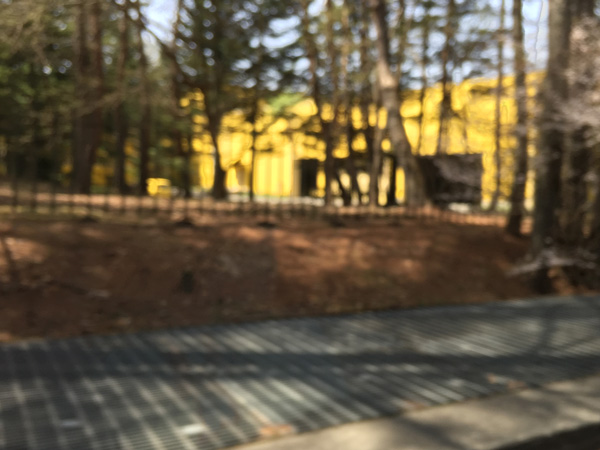 チャレンジ富士五湖