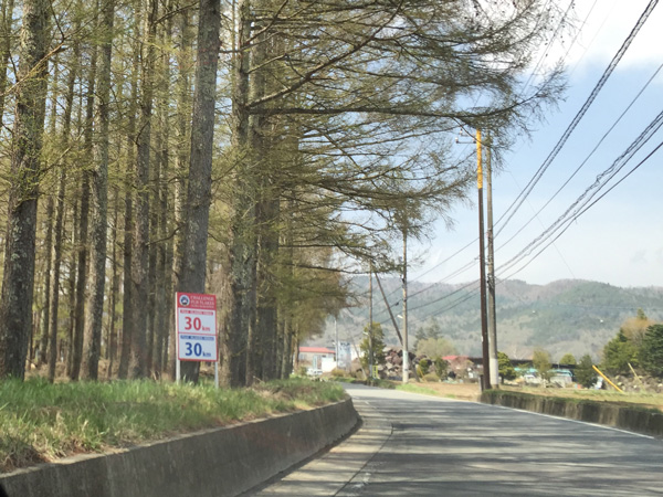 チャレンジ富士五湖