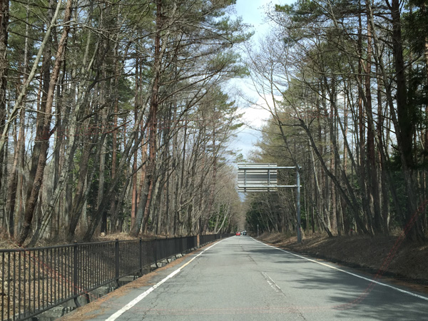 チャレンジ富士五湖