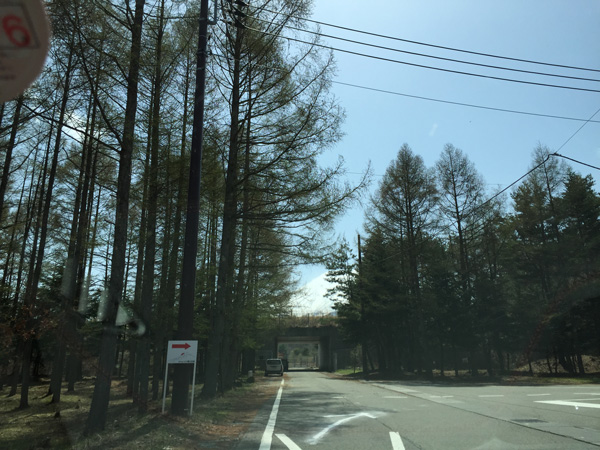 チャレンジ富士五湖