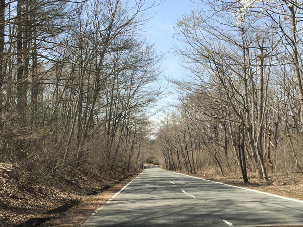 チャレンジ富士五湖