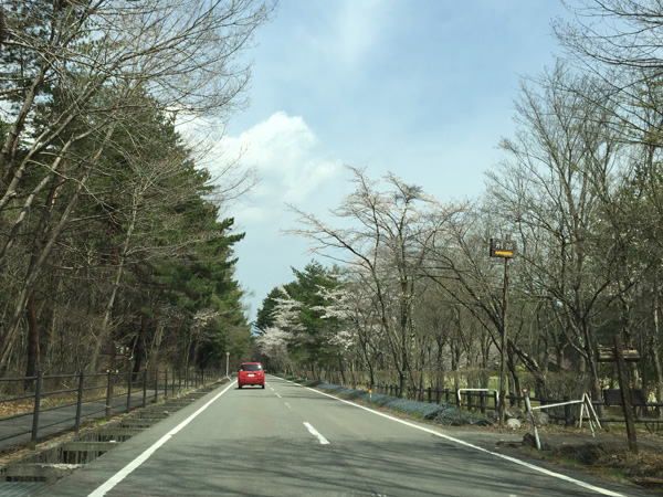 ウルトラプロジェクト