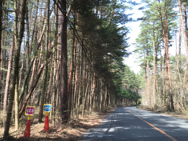 チャレンジ富士五湖