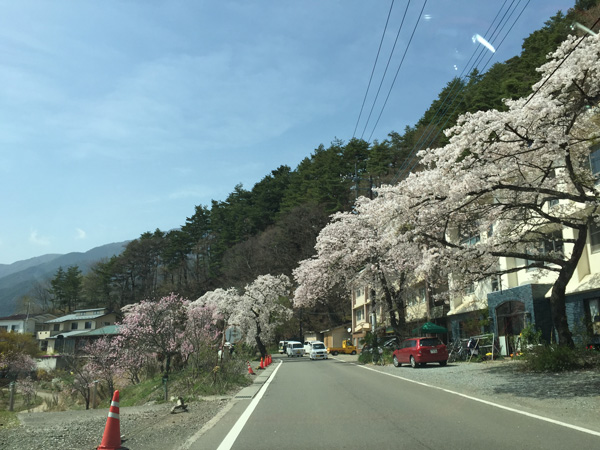 チャレンジ富士五湖