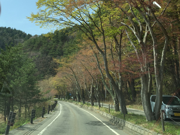 チャレンジ富士五湖